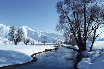 Bitlis Prefabrik Yapı ve Şantiye Binaları